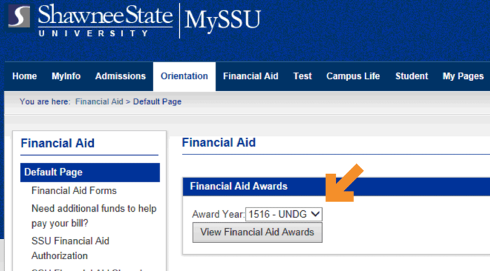 Screenshot of SSU website