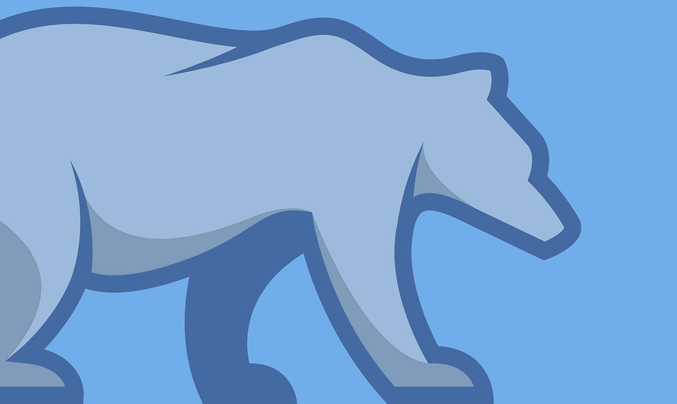 Grey Bear walking on blue background