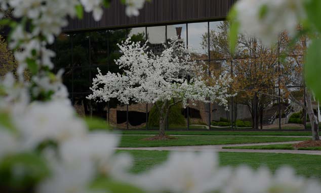 Flowers on campus
