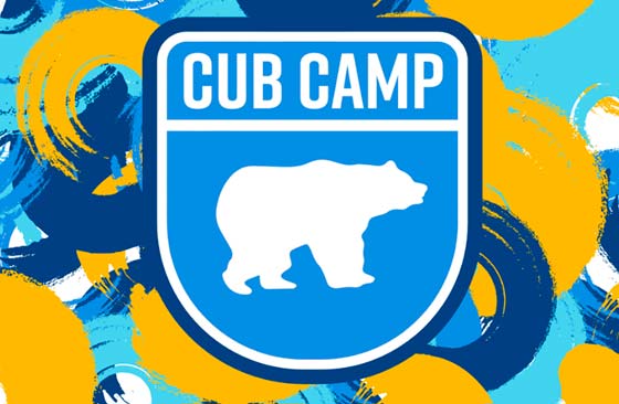 Graphic with the text "Cub Camp"