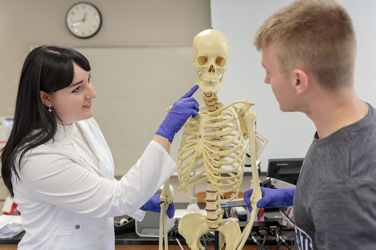 Two students examine a human skeleton model in a lab while wearing gloves.
