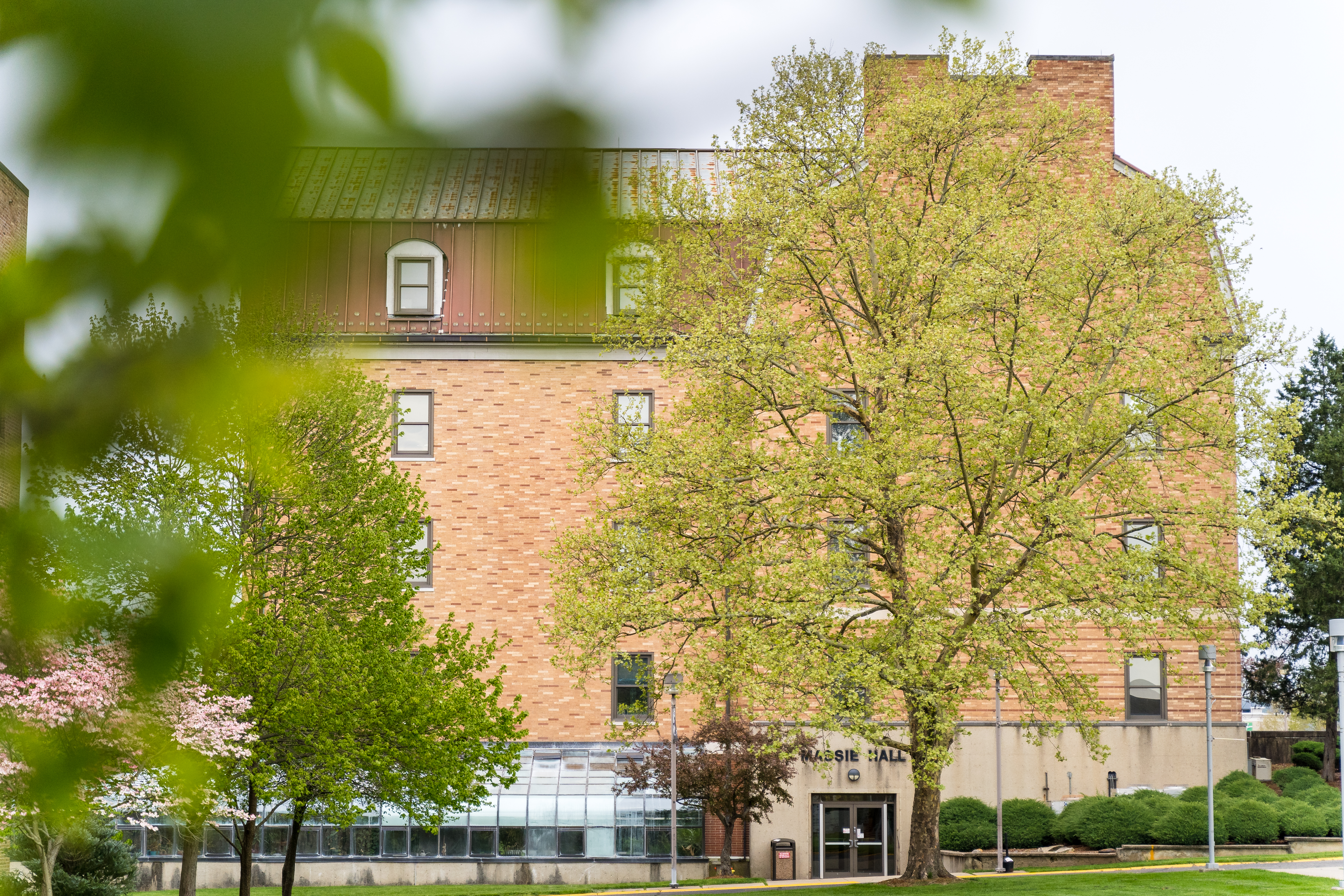 Tree outside Massie Hall building on campus