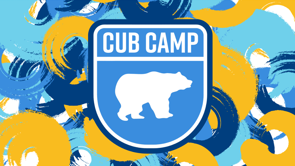 Cub Camp
