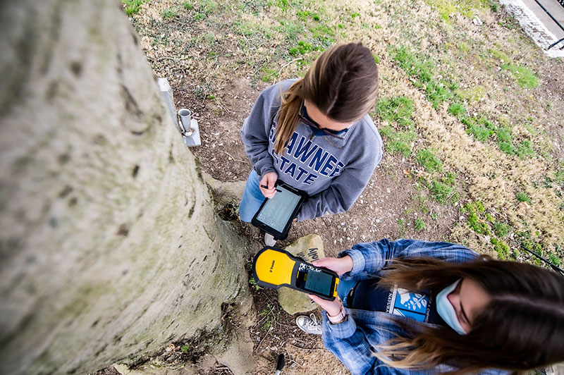 students tagging tree