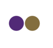 Delta Phi Epsilon Colors