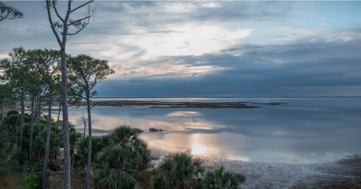 Coastal wetland landscape with trees and calm reflective water under a cloudy sky