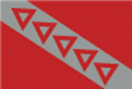 TKE Flag